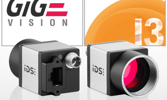 Bilderfassung mit einer IDS GigE Vision Kamera in HALCON