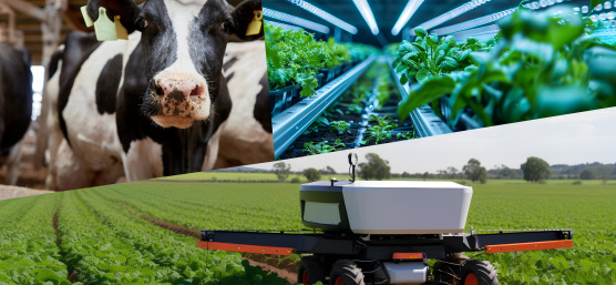 Industriekameras von IDS ermöglichen nachhaltige Tierhaltung, Pflanzenschutz und Ernte