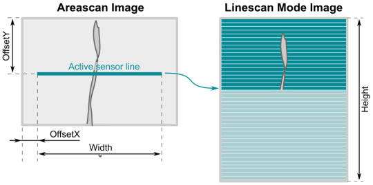 Einstellen der Bildgeometrie für den Linescan Modus