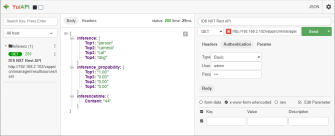 Komfortable GUI-Oberfläche für die Rest Kommunikation direkt im Browser