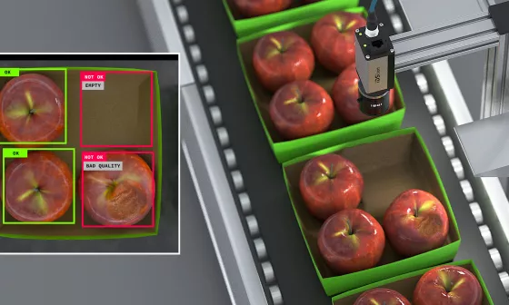 IDS Kamera prüft Vollständigkeit und Qualität von Äpfeln in Verpackungen auf einem Förderband.