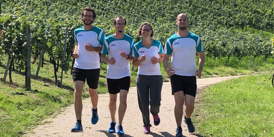 Laufgruppe des Industriekameraherstellers IDS in den an das Firmengelände angrenzenden Weinbergen