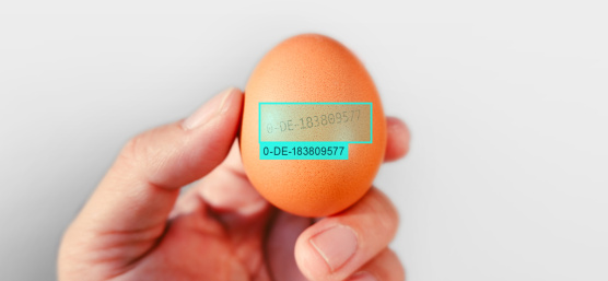 OCR Ergebnis-Overlay zeigt korrekt gelesenen Code einer Eierkennzeichnung.