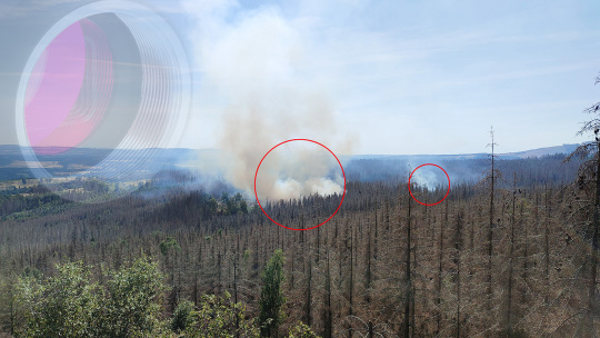 Kamerasystem erkennt Brandherd im Wald