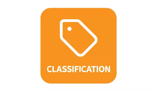 IDS Icon Classification