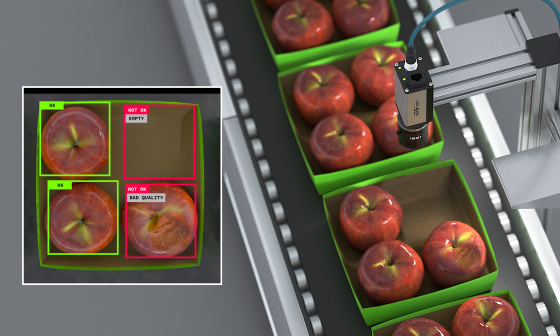 Eine IDS NXT Kamera prüft die Vollständigkeit und Qualität von Äpfeln in Verpackungen auf einem Förderband.