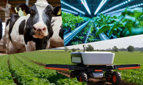 Industriekameras von IDS ermöglichen nachhaltige Tierhaltung, Pflanzenschutz und Ernte
