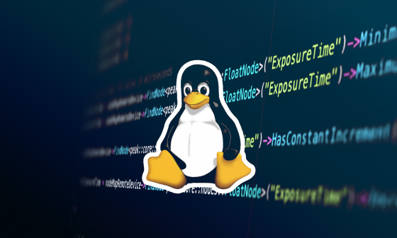 Linux Logo und Programmiercode