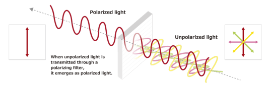 Ein Pfeil zeigt die Entwicklung durch einen Filter von unpolarisierten zu polarisierten Licht