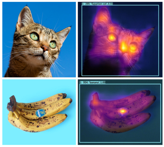 Attention Maps
