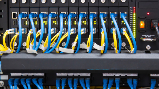 Netzwerkswitch mit blauen und gelben angeschlossenen Kabeln
