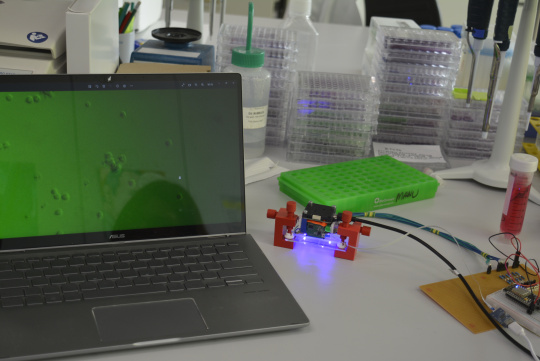 Fluoreszenzmikroskop mit USB3 uEye XLE Boardlevel-Kamera. Der Bildschirm zeigt die erfassten Zellen.