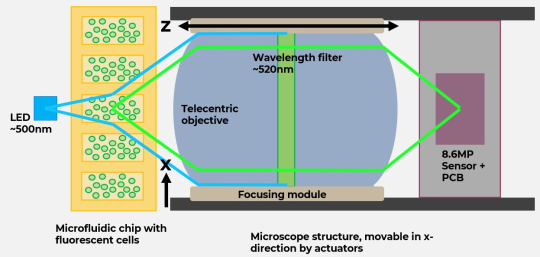 Mikroskop Schema zur Zellforschung mit uEye XLE Kamera, Mikrofliodik-Chip und LED