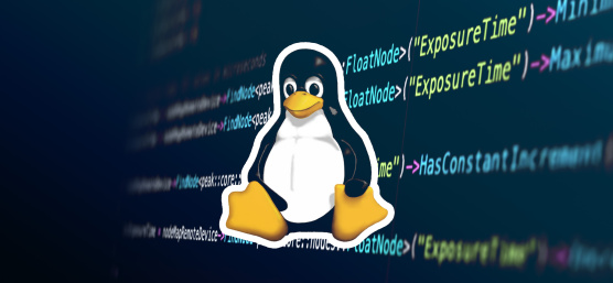 Linux Logo und Programmiercode