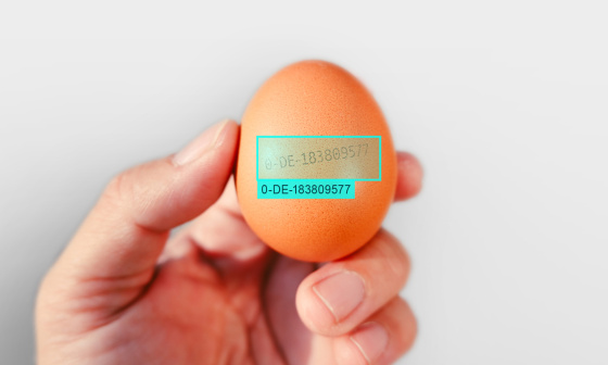 OCR Ergebnis-Overlay zeigt korrekt gelesenen Code einer Eierkennzeichnung.