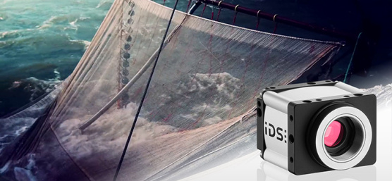 Ein Fischernetz im Meer, im Vordergrund eine IDS Industriekamera.