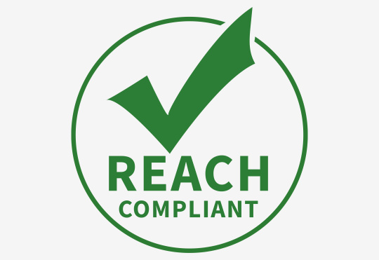 REACH Logo