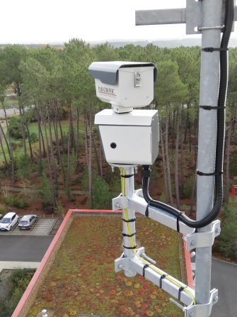 Blick des PARATRONIC Systems auf den Wald