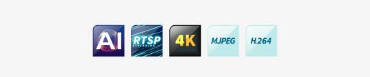 Icons mit Aufschrift AI, RTSP, 4K, MJPEG, H264