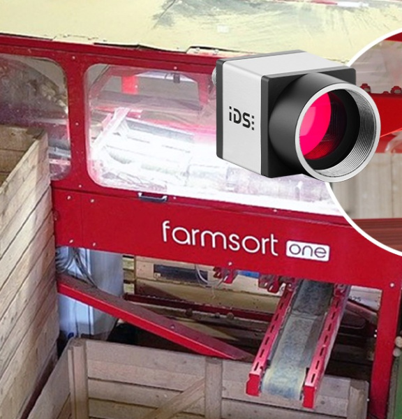 IDS-Industriekamera überwacht Kartoffelsortierung in farmsort-Anlage